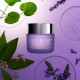 Sleeping Mask Artistry Skin Nutrition